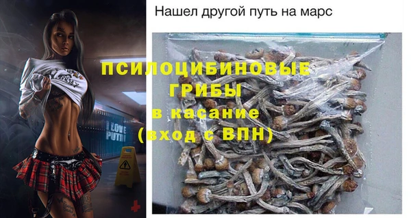 бошки Арсеньев